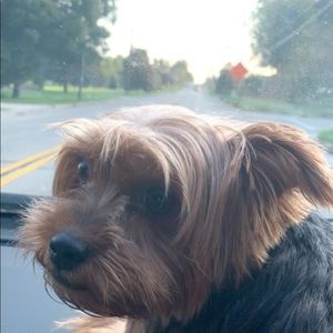 Meet your Posher, Joshua